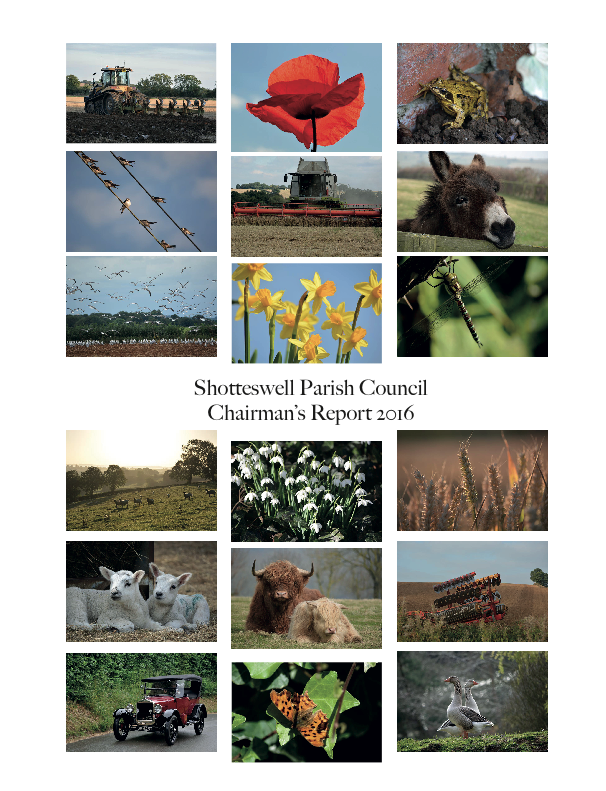 Chairman's Report 2016