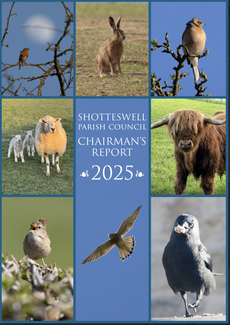 Chairman's Annual Report 2025