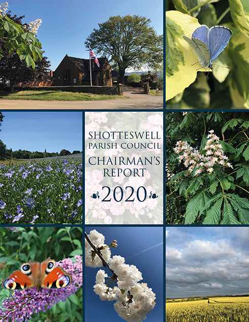 Chairman's Annual Report 2020