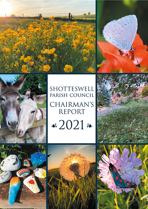 Chairman's Annual Report 2021
